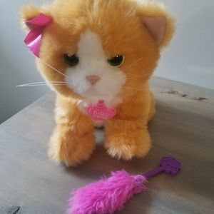 FurReal Friends Daisy Plays-with-me-Kitty.